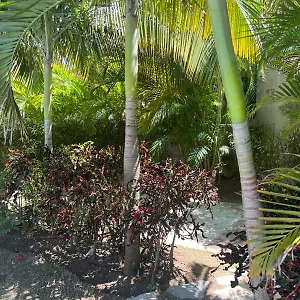  Apartment Residencial Mediterraneo